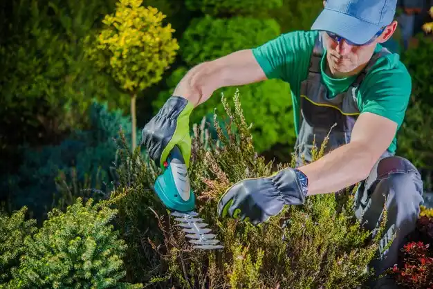 landscaping services Ferndale